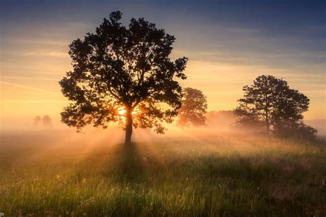 Morning Mist Light By Janusz B Aszkiewicz Xemtvhay Cool Landscapes