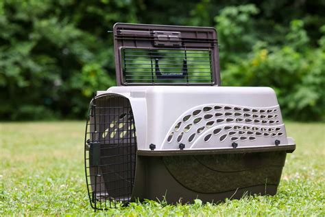 The 5 Best Puppy Training Crates: Reviewed for 2021 - AZ Animals