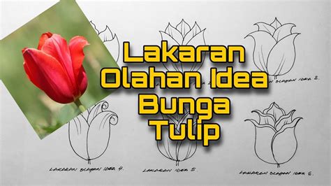 Lakaran Olahan Idea Bunga Tulip Youtube