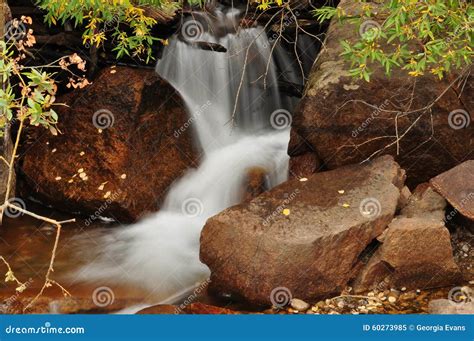 Cascading Down A Small Mountain Stream The Water Runs Over Basalt