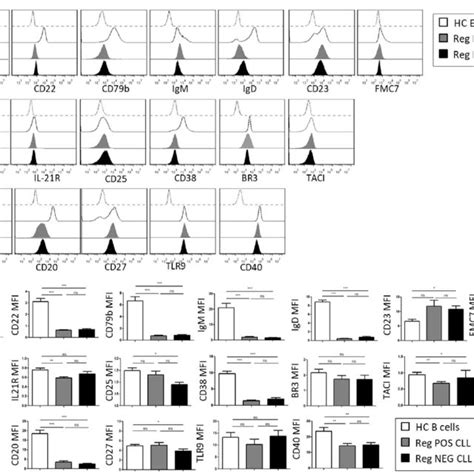 Phenotypic characteristics of CLL B cells. (a) Representative examples ...