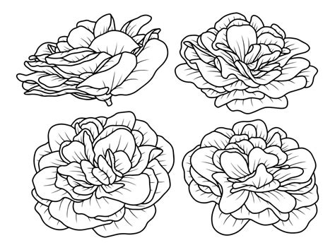 Hand Drawn Flower Sketch Line Art Illustration Set 21457466 Vector Art