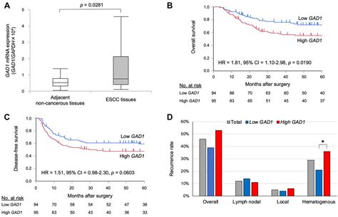 Risk Stratification By Tissue GAD1 Expression Level In Curatively