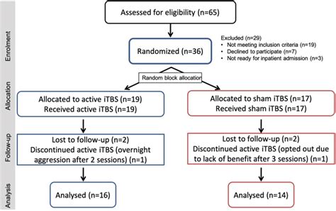 Flow Diagram Showing Participants Recruitment Tbs Theta Burst