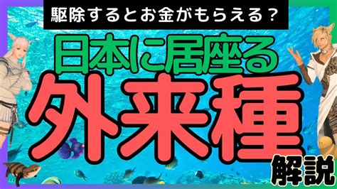 駆除するとお金がもらえる？日本に居座る外来種問題 Ff14 Ff14動画まとめ