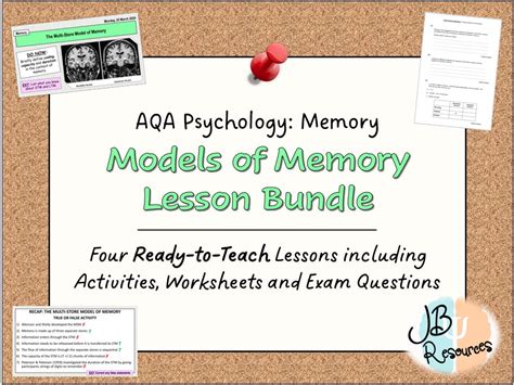 Models Of Memory Lesson Bundle A Level Psychology Memory Topic