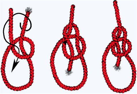 Булинь - Форум