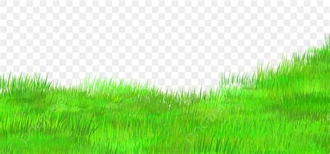 Fundo De Grama PNG Grass Psd Fundo De Grama PNG Png Grama Verde