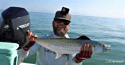 Spanish Mackerel Rigs