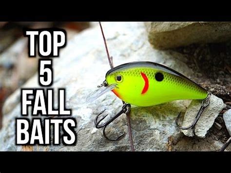 Bass Fishing New Ponds For Big Bass Tips And Catches Youtube Fall