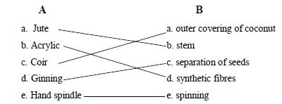 Grade Fibre To Fabric Worksheet