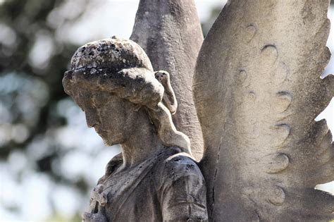 Stone Angel Vingar Staty Gratis foto på Pixabay Pixabay