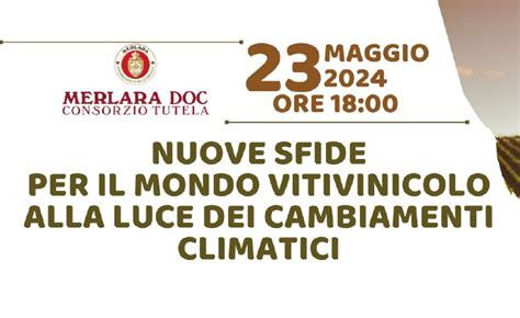 Nuove Sfide Per Il Mondo Vitivinicolo Alla Luce Dei Cambiamenti