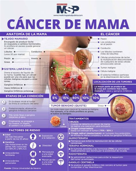 D A Mundial De La Lucha Contra El C Ncer De Mama Octubre