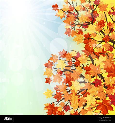 Fall Autumn Background With Maple Leaves Vector Illustration Stock