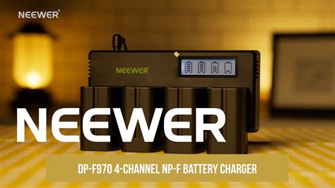 Introducing The Neewer Dp F Channel Np F Battery Charger Youtube