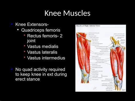BIOMECHANICS OF THE KNEE JOINT.pptx and detailed information | PPTX