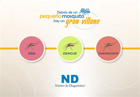 Dengue Zika y Chikungunya Núcleo de Diagnóstico