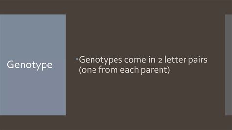 Genetics And Punnett Squares Ppt