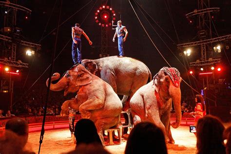 Cirque Pinder Wikip Dia