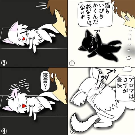 デブ猫とタオルと嗅ぐ習性と爪が引っかかるのと 猫の漫画とケモナーの漫画が見れるブログ