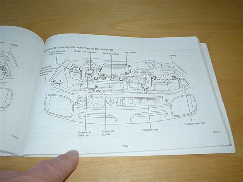 Nissan Micra K11 Parts Diagram | Reviewmotors.co