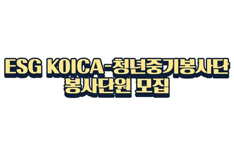 Thealzza 한국대학사회봉사협의회 Esg Koica 청년중기봉사단 봉사단원 모집