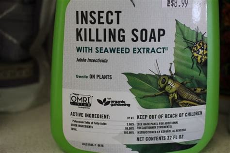 Fundamentals Of Using Soaps As Insecticides Extension Entomology