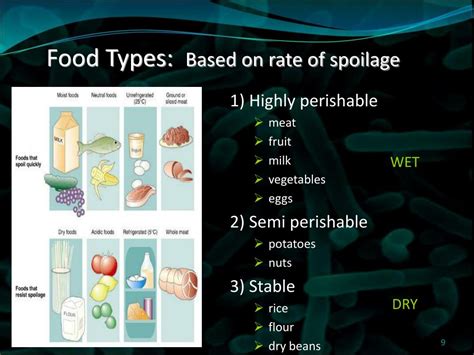 Ppt Food Spoilage Stinkies” Slimies” And Biofilms Powerpoint