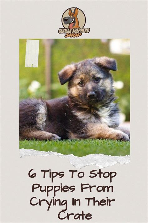 6 tips to stop puppies from crying in their crate – Artofit