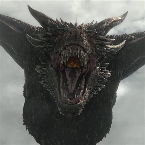 Drogon Game Of Thrones Game Of Thrones Dragons Game Of Thrones Art