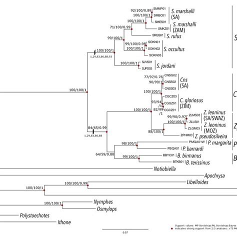 Bayesian Consensus Tree Recovered From Bayesian Analysis Of Combined