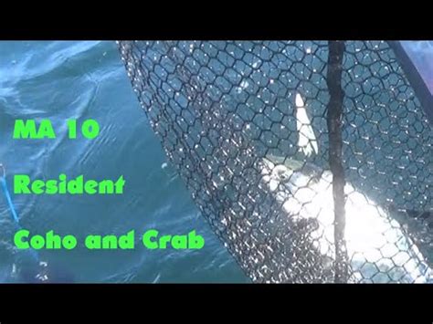 Marine Area 10 Resident Coho And Crab Puget Sound YouTube