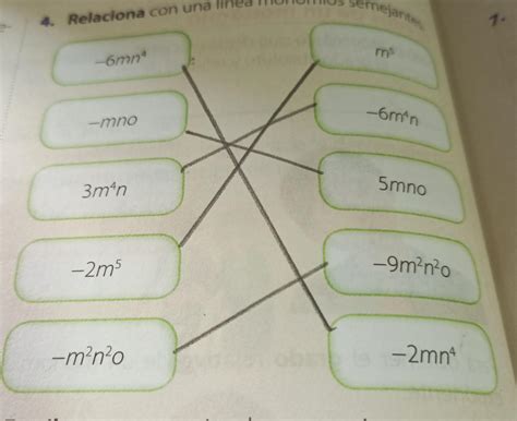 Relaciona Con Una L Nea Monomios Semejantes Brainly Lat