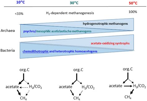 Frontiers Complexity Of Temperature Dependence In Methanogenic Microbial Environments