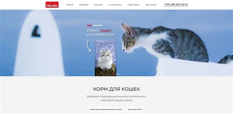 Корм для кошек PREMIL