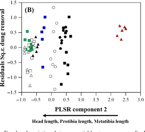 Figure 1 From Assessing The Functional Relationship Between Dung Beetle