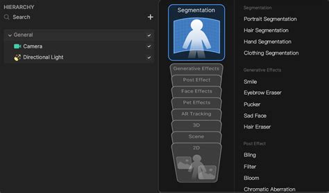 Hair Segmentation Learn TikTok Effect House