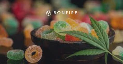 Elon Musk CBD Gummies For Dementia | Official Merchandise | Bonfire