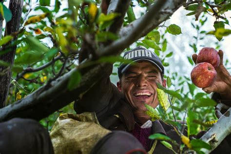 Agronegócio Lidera Criação De Empregos Em 2020 Diz Cna Summit Agro