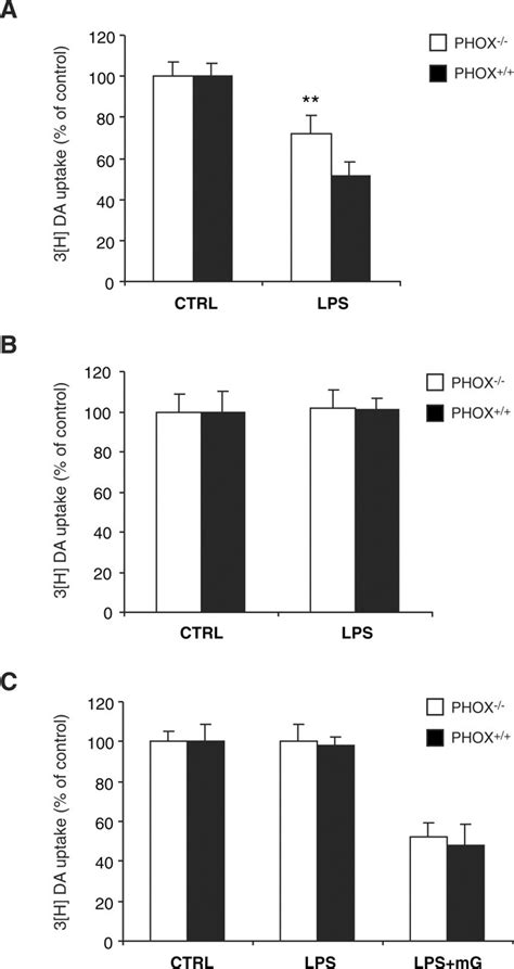 Nadph Oxidase Mediates Lipopolysaccharide Induced Neurotoxicity And