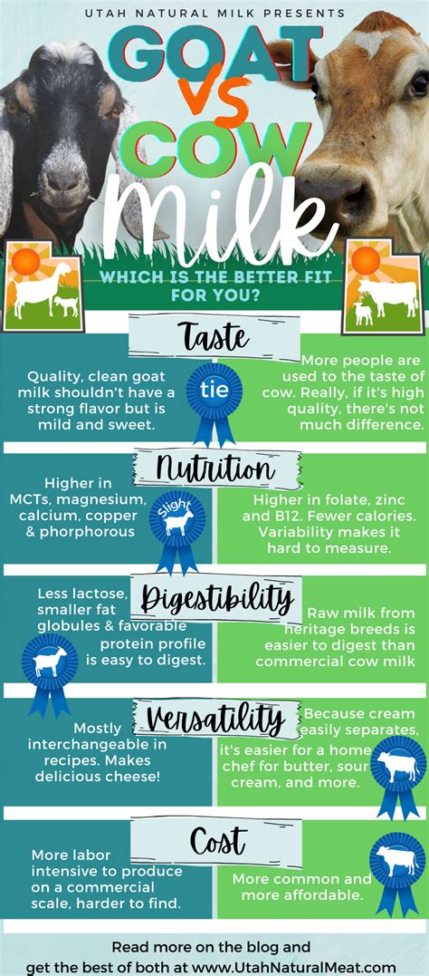 Cow Milk Vs Goat Milk Which Is Healthier — Nourish With Kristin