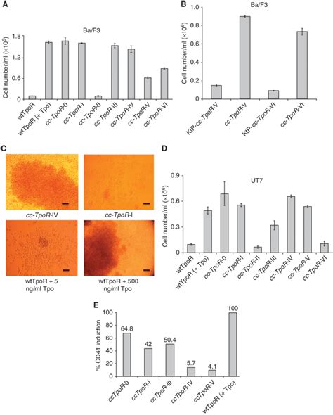 Cell Proliferation Induced By The Seven Cc Tpor Fusion Proteins A B