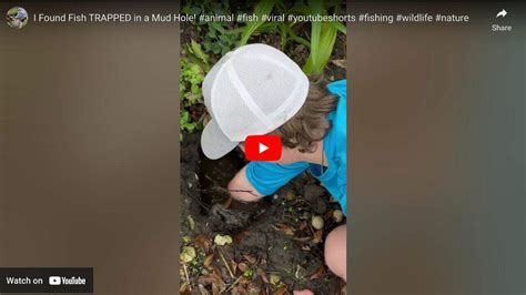 This Florida Man Explored Mud Holes To Catch Fish For His Aquarium