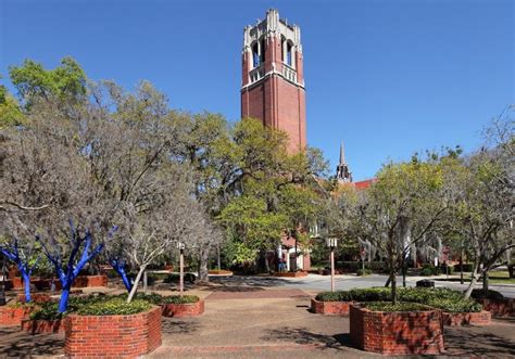 University of Florida Guide [Admission Overview] - Ivy Scholars