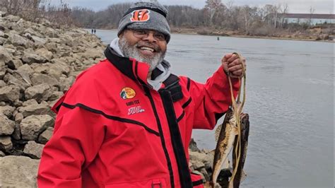 Two Keeper Sauger And 1 000 Spikes At Old Hickory Dam YouTube