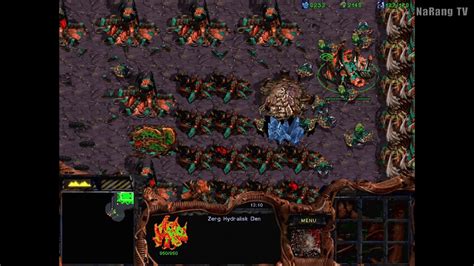 Starcraft 1 Zerg Vs 7 Random Computer Map New Super Fast Infinity 20