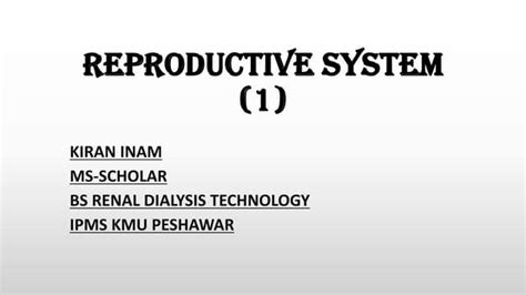 Reproductive System Lecture 1 Pdf