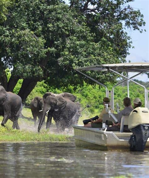 7 Nights Vic Fallschobehwange Safari Bantu Safaris