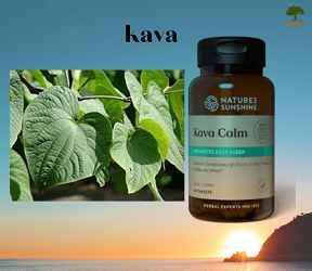 KAVA – Health Boost